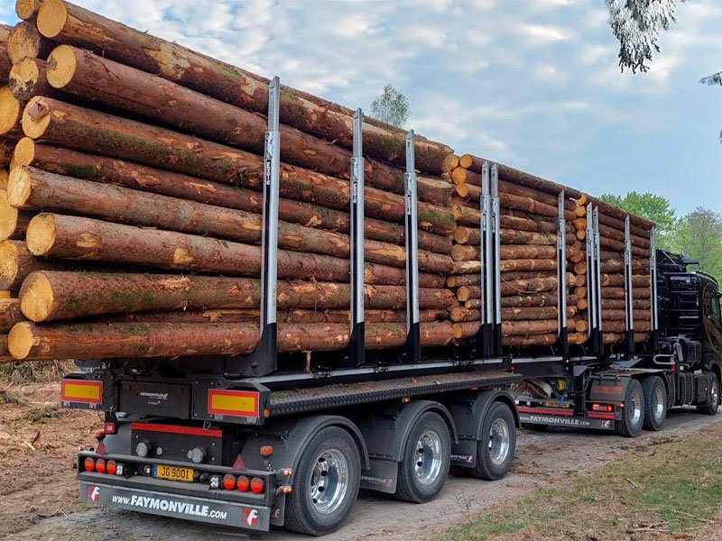 حمل بین المللی چوب